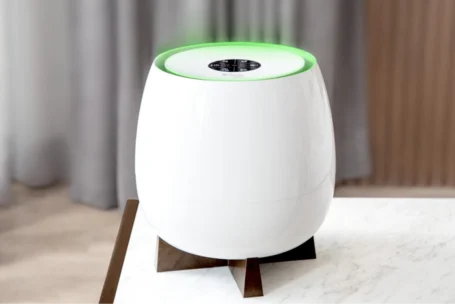 Healthy Indoor Air Environment For Your Home with AirPure Zayn